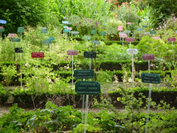 Rennes, jardin du Thabor, 13 juillet 2009