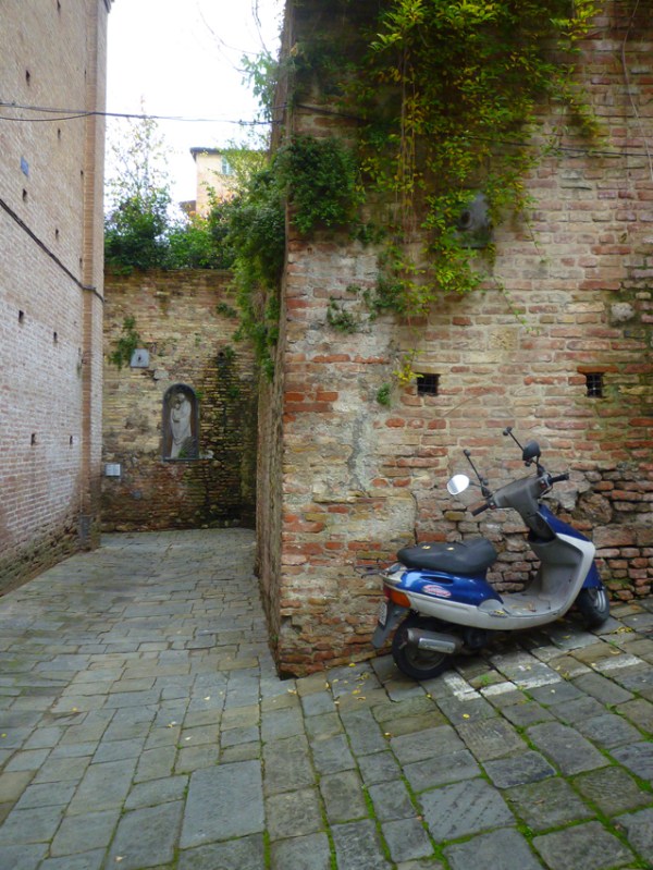 Sienne (Toscane, Italie), 14 novembre 2010 Sienne (Toscane, Italie), 14 novembre 2010