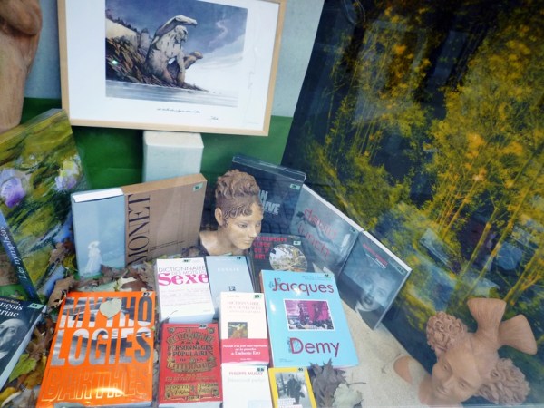 Toulouse, vitrine de la librairie Ombres blanches, 12 décembre 2010