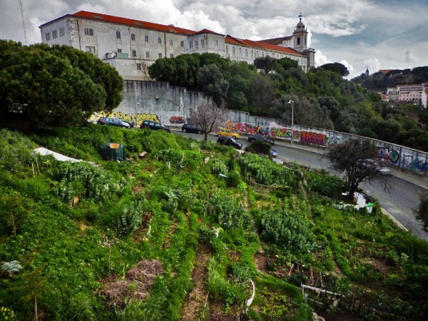 Lisbonne (Portugal), Calçada do Monte vue depuis la Rua Damasceno Monteiro, 13 mars 2011