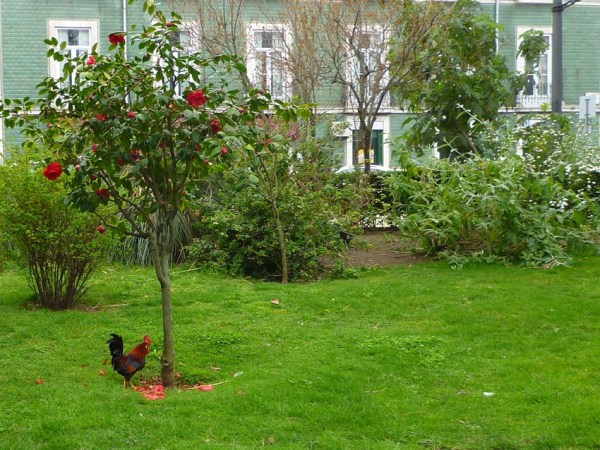 Lisbonne (Portugal), Campo dos Mártires da Pátria, 17 mars 2011