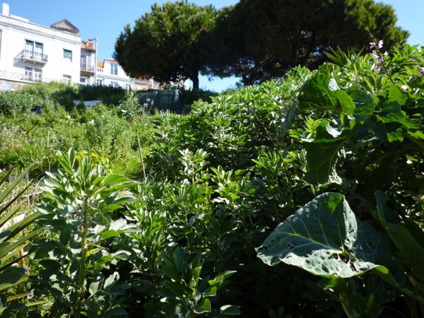 Lisbonne (Portugal), Calçada do Monte, 19 mars 2011