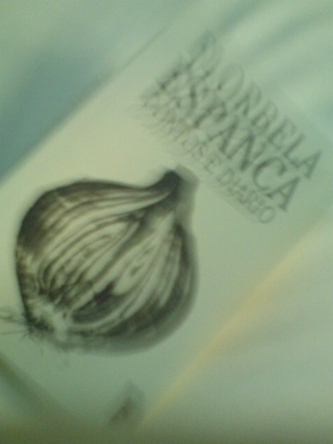 Florbela Espanca. -- Contos e diário