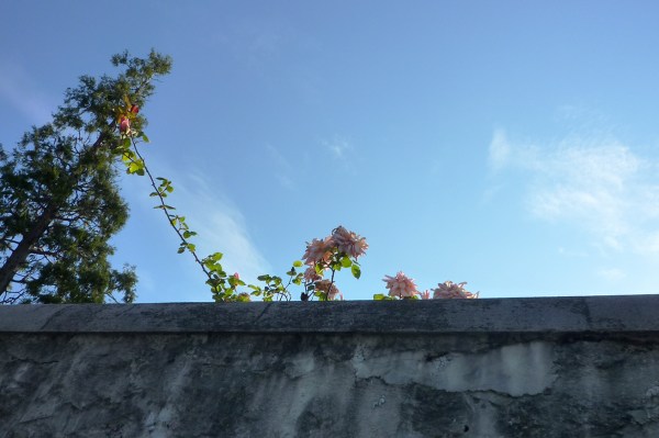 Le mur, Montpellier, 21 avril 2011