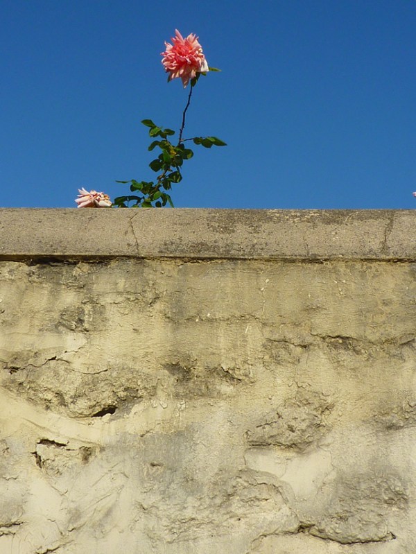 Montpellier, 21 avril 2011