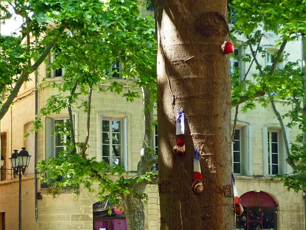Place de La Canourgue, Montpellier, 8 mai 2011