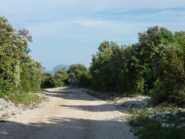 Montagne de la Séranne (Hérault), 22 mai 2011