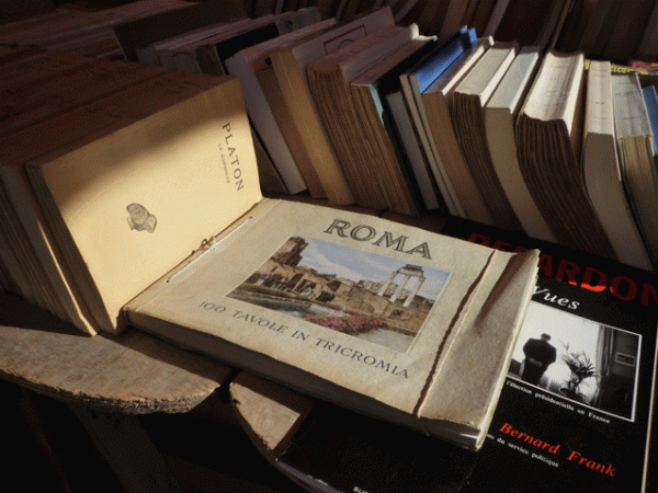 Toulouse, 15 octobre 2011. Les bouquinistes place Saint-Étienne.
