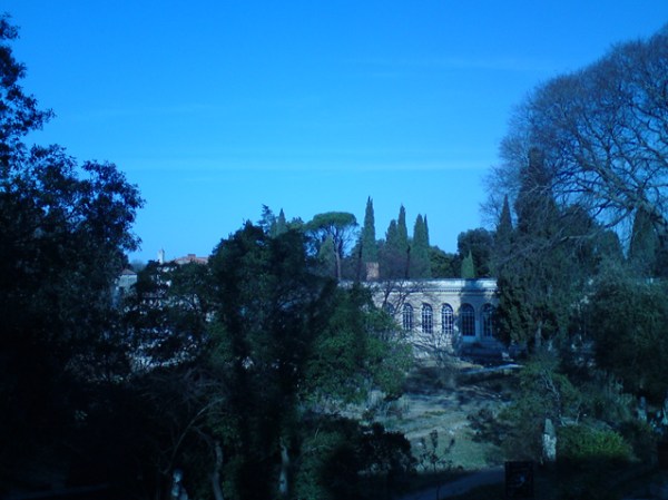 Montpellier. Jardin des plantes. 7 mars 2012