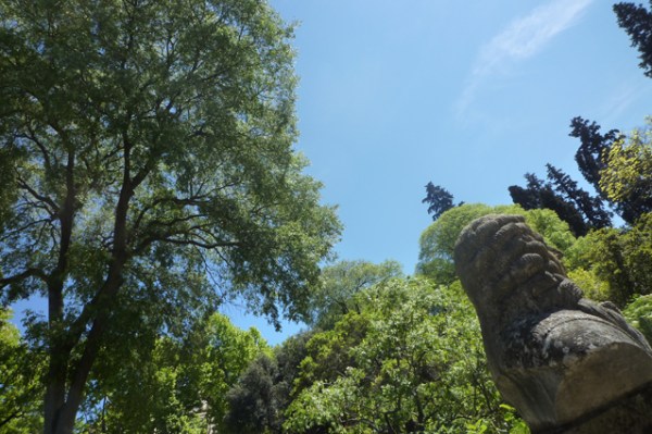 Montpellier, Jardin botanique, 1er mai 2012