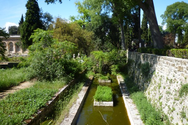 Montpellier, Jardin botanique, 1er mai 2012