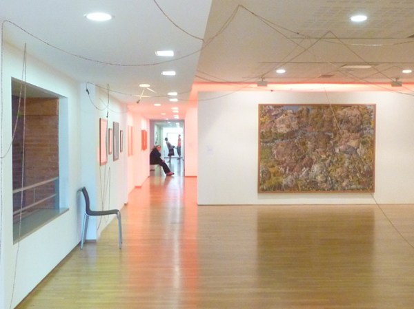 Musée des Abattoirs (Toulouse). 21 juillet 2012