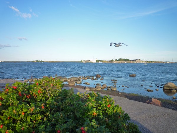 Helsinki (Finlande), Ehrenströmintie, 14 août 2012