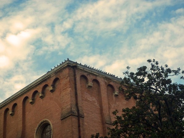 Musée des Augustins, Toulouse, 16 décembre 2012