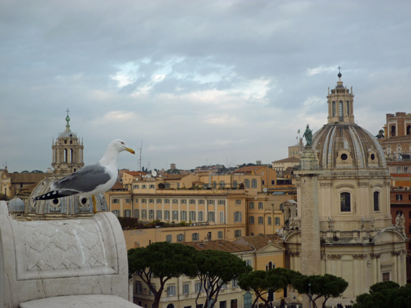 Rome (Italie). Terrasses du monument à Victor Emmanuel II, 26 décembre 2012