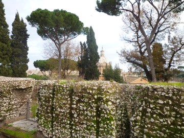 Rome (Italie). Vue prise depuis le Capitole, 26 décembre 2012