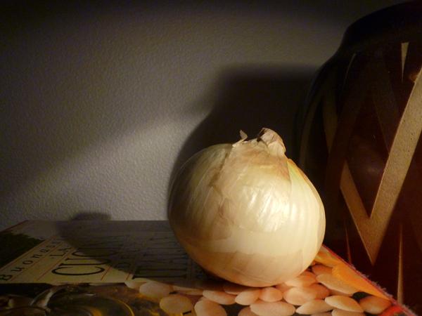 Oignon doux des Cévennes