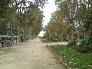 Montpellier (France), 6 octobre 2013