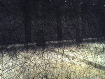 Carré Sainte-Anne, Montpellier (France), 6 octobre 2013. Exposition « After the dream, 2013 » de Chiharu Shiota