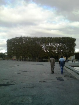 Montpellier (France), 6 octobre 2013