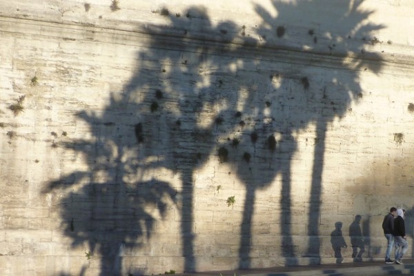 Montpellier (France), 23 février 2014