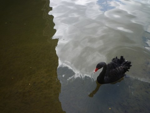 Toulouse (France), la Garonne sous le Pont neuf, 31 mars 2014
