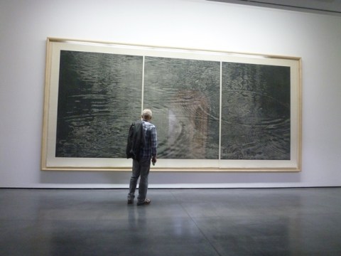 Festival international d'art de Toulouse. Exposition Franz Gertsch, Musée des Abattoirs, Toulouse, 25 mai 2014