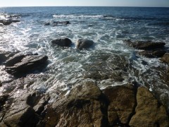 Lesconil (Finistère, France), 3 septembre 2014