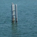 Genève (Suisse), 15 avril 2015