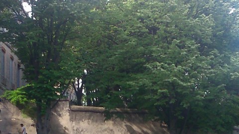 Montpellier (France), 15 mai 2015