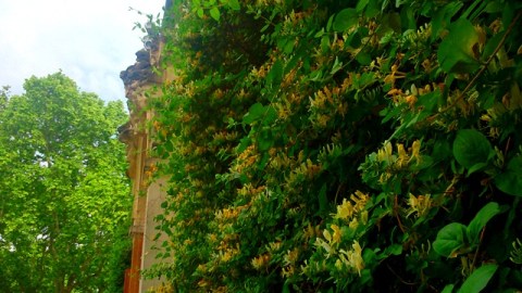 Montpellier (France), 15 mai 2015