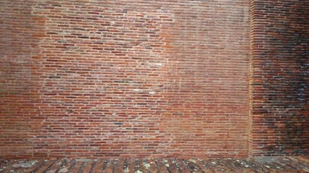 Toulouse (France), couvent des Jacobins, 8 mai 2015