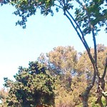 Montpellier (France), boulevard des Arceaux, 5 juin 2015