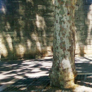 Montpellier (France), boulevard des Arceaux, 5 juin 2015