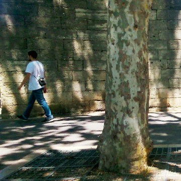 Montpellier (France), boulevard des Arceaux, 5 juin 2015