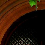 Toulouse (France), 6 juin 2015