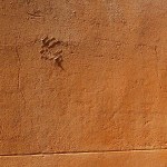 Toulouse (France), juin 2015