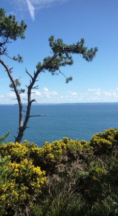 Cap de la chèvre (Crozon, Finistère, Bretagne), 28 août 2015