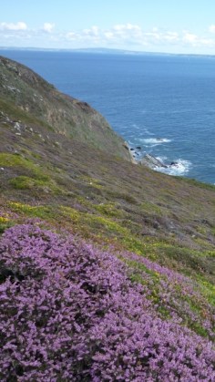 Cap de la chèvre (Crozon, Finistère, Bretagne), 28 août 2015