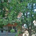 Toulouse (France), place de la Bourse, 5 juillet 2015