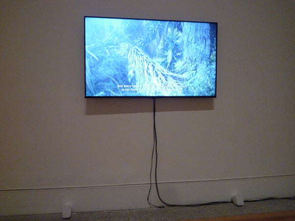 Lisbonne, Museu Coleção Berardo, 23 mars 2017. The current situation, vidéo de Pedro Barateiro (2015).