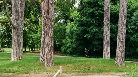Paris (France), bois de Vincennes, 18 mai 2017
