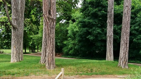 Paris (France), bois de Vincennes, 18 mai 2017