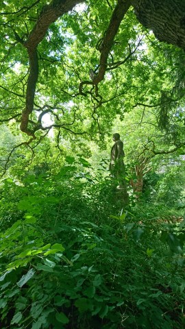 Paris (France), jardin d'agronomie tropicale de Paris, bois de Vincennes, 18 mai 2017