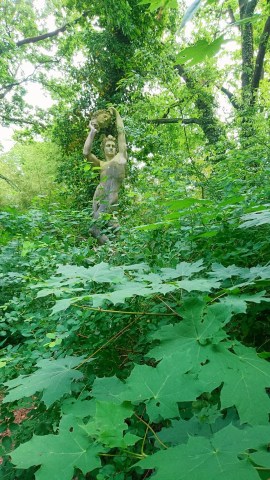 Paris (France), jardin d'agronomie tropicale de Paris, bois de Vincennes, 18 mai 2017