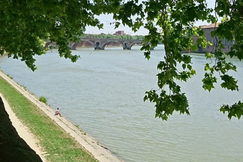 Toulouse (Occitanie, France). La Garonne, 27 mai 2017