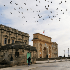 Montpellier (Occitanie, France), 18 février 2018