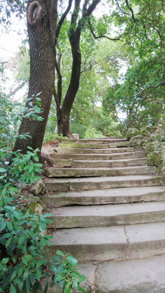 Montpellier (Occitanie, France), Jardin des plantes, 18 février 2018
