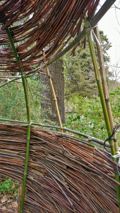 Montpellier (Occitanie, France), Jardin des plantes, 18 février 2018