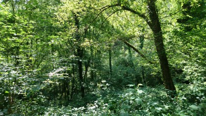 Buzan (Ariège, Occitanie), 22 juillet 2018